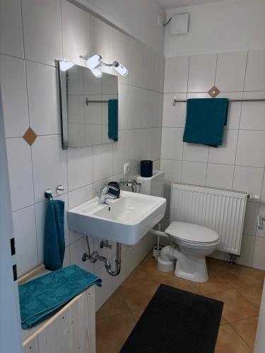 a bathroom with a sink and a toilet at Panorama-Haus Ferienwohnung SÄNTIS - Schlafzimmer, Wohnzimmer, Küche, Bad, Sonnenterrasse mit Bergblick im Garten in Wangen im Allgäu