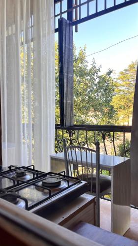 Gallery image of Dato's GuestHouse in Makhinjauri