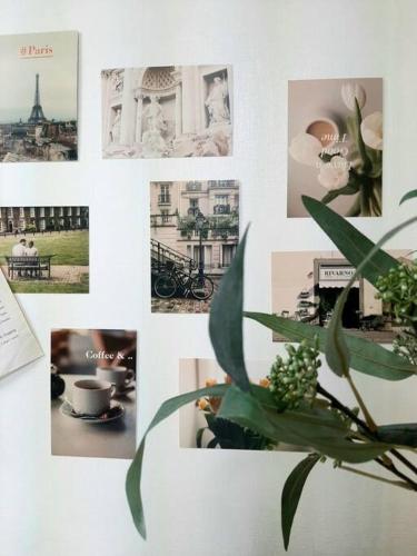 a collage of pictures on a wall with a plant at Bliss Juju in Seoul