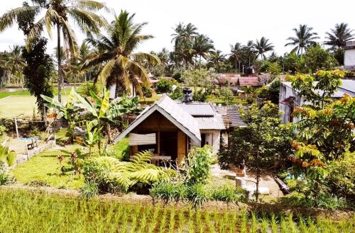 a house in the middle of a field with palm trees at Citra Homestay in Tetebatu