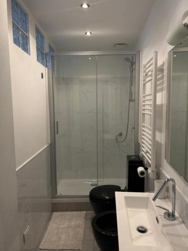 a bathroom with a toilet and a glass shower at Chez Sophie in La Spezia