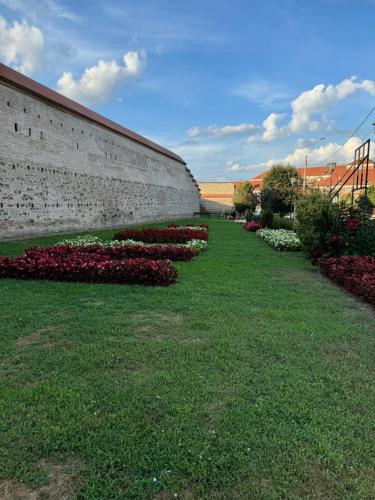 a retaining wall with flowers in a yard at Central Studio in Mediaş