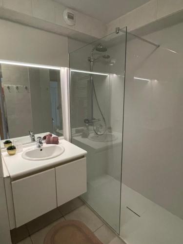 a bathroom with a glass shower and a sink at Appartement Axelle 3 in Blankenberge