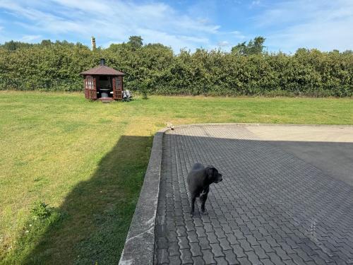 a black dog standing next to a brick wall at Baskervilu Muiža in Sērenes