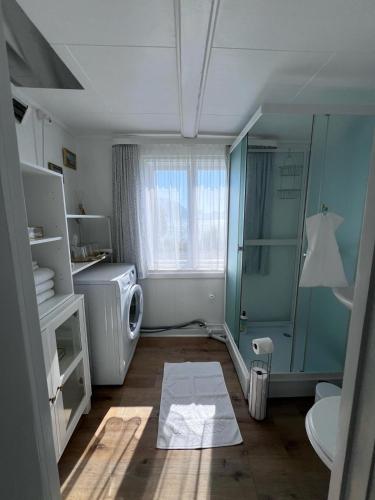 a small bathroom with a shower and a toilet at House with Whirlpool in Nygard