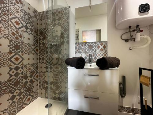 a bathroom with a shower and a sink at Le Petit phucket - centre ville - wifi in Niort