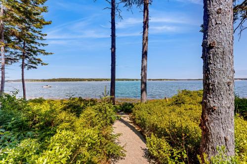 a path through the trees next to a body of water at Driftwood in Glenmere