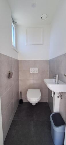 a bathroom with a white toilet and a sink at 2B nieuwe vakantie woning met terras in Westkapelle