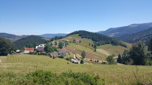 Billede fra billedgalleriet på Cabana Rodica i Arieşeni