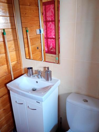 a bathroom with a sink and a toilet and a mirror at Domek letniskowy w Nadolu nad jeziorem Żarnowieckim in Nadole