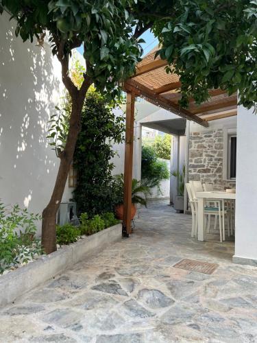 Maria's jasmine