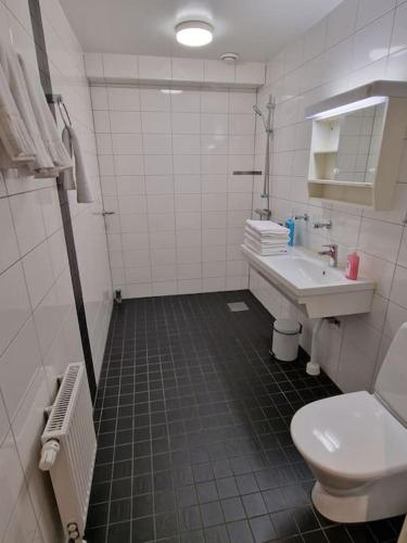 a bathroom with a toilet and a sink at Nr7 På Spåret in Norrköping