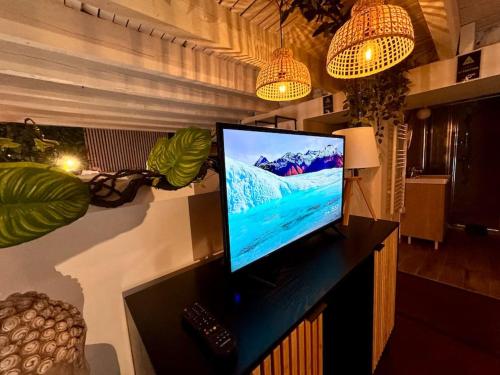 Jungle Love Room avec Jaccuzi au coeur de Niceにあるテレビまたはエンターテインメントセンター
