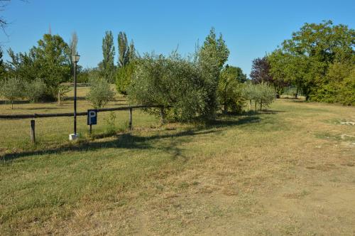 a field with a fence and some bushes at Agriturismo Picchio Rosso in Forlì
