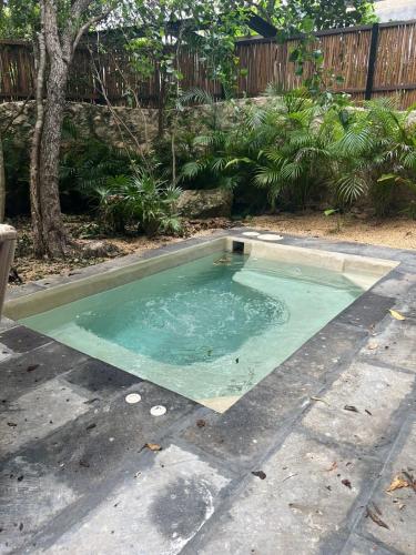 Bazén v ubytování Tulum 2BR Jacuzzi Privado Lujo & Piscinas Humana 800m Playa nebo v jeho okolí