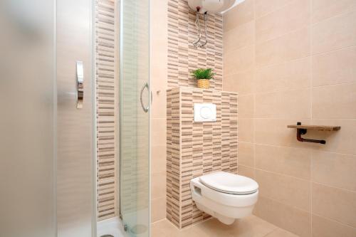 a bathroom with a toilet and a shower at Villa Rajski Dvor in Bol