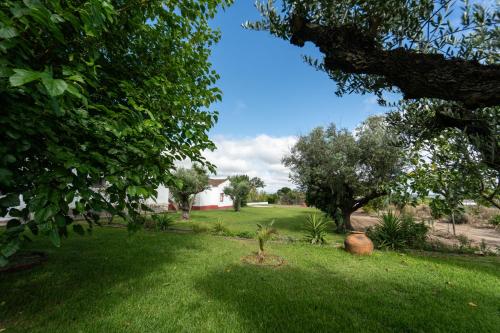 a green yard with trees and a white house at Quinta do lagar in Chamusca