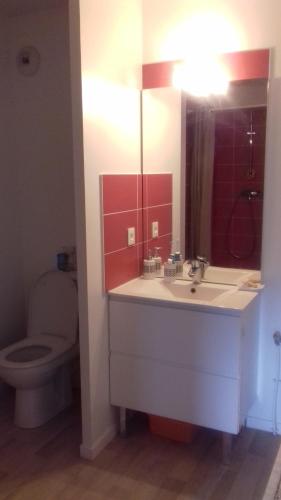une salle de bain avec un lavabo et des toilettes dans l'établissement Appartement 2 pièces à Bayonne, à Bayonne