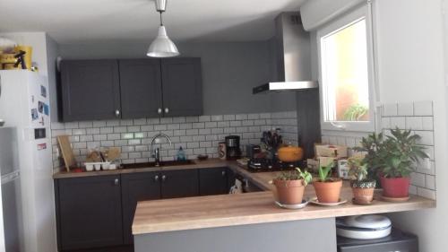 une cuisine avec des armoires noires et des plantes en pot sur un comptoir dans l'établissement Appartement 2 pièces à Bayonne, à Bayonne