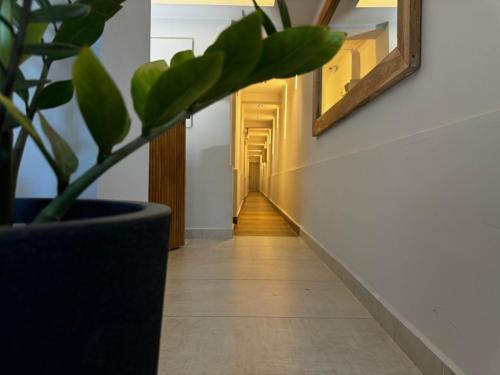 Fotografie z fotogalerie ubytování Hotel Lindor v destinaci Santiago del Estero
