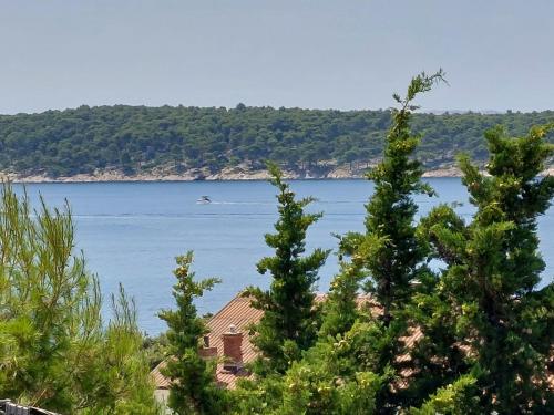 a house on the shore of a lake with trees at Studio apartman Dolin in Rab