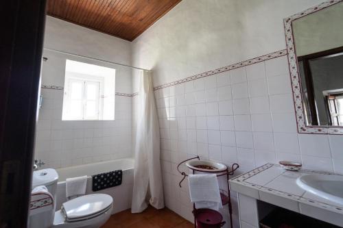 a bathroom with a toilet and a sink at Quinta do lagar in Chamusca