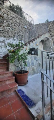 Φωτογραφία από το άλμπουμ του La Terrazza di Anna σε Albori