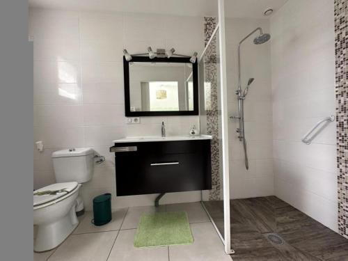 a bathroom with a sink and a toilet and a mirror at La plain' itude in Lacquy