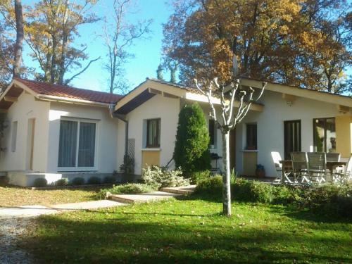 a white house with a tree in the yard at La plain' itude in Lacquy
