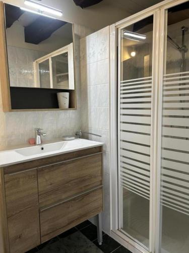 une salle de bain avec un lavabo et une douche dans l'établissement Le gite serenite, à Marsac-sur-lʼIsle
