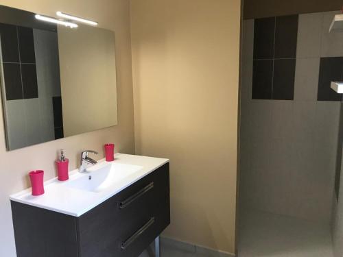 une salle de bain avec un lavabo, un miroir et une douche dans l'établissement Le relais postal, à Celle-Lévescault