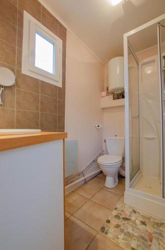 une salle de bain avec toilettes et douche dans l'établissement Le nid d'hirondelles, à Bouy-Luxembourg