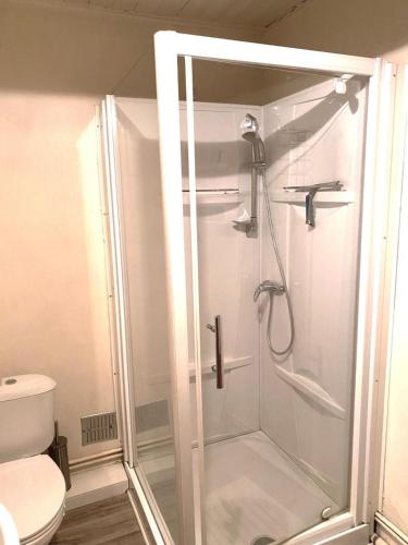 une cabine de douche dans une salle de bain avec toilettes dans l'établissement Le petit gite, à Gespunsart