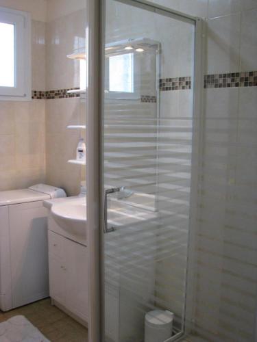 une salle de bain avec douche et lavabo dans l'établissement Le chateau, à Saint-Aignan