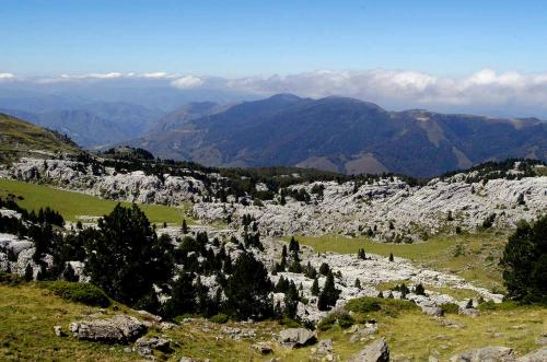 a view of a mountain range with trees and rocks at Chez forcade in Lanne en Barétous
