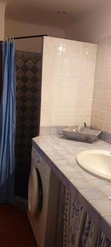 une salle de bain avec une machine à laver et un lavabo dans l'établissement Gite bleu a ampus, à Ampus
