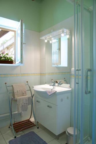une salle de bain avec un lavabo et une douche dans l'établissement Le bas du buisson ferme, à Bucey-en-Othe