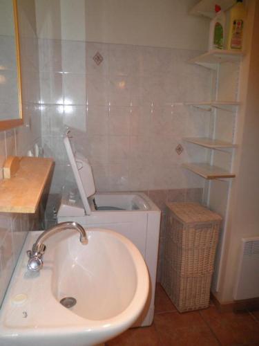 La salle de bains est pourvue d'un lavabo, de toilettes et d'étagères. dans l'établissement Bergerie de laugeron 2, à Benquet