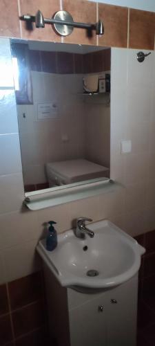 a bathroom with a sink and a mirror at Charmante maison crétoise à Embrosneros in Embrósneros