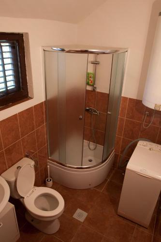 a bathroom with a shower and a toilet in it at House by the Sea in Herceg-Novi