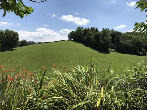 a large green field with trees in the background at Labourdette in Lasseube