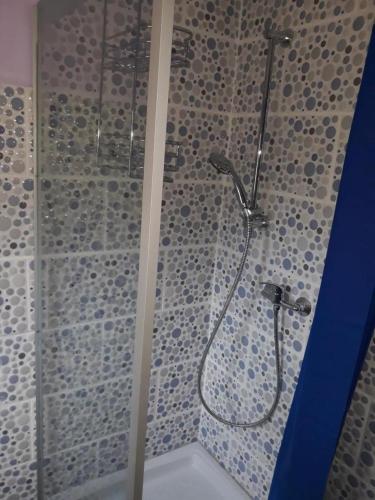 a shower in a bathroom with a glass shower stall at Gite au calme l'eclaircie in Régusse