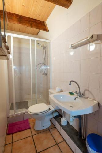une salle de bain avec toilettes, douche et lavabo dans l'établissement Location 2 personnes aux badieux, à Les Badieux