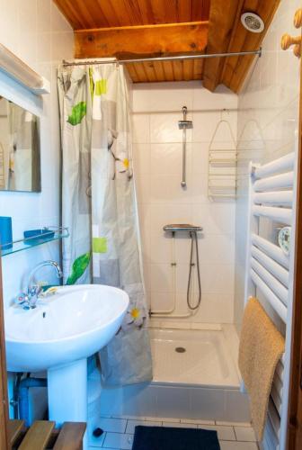 une salle de bain avec un lavabo et une douche dans l'établissement Gîte Violette d'Aubrac - Ancien presbytère 3/5 personnes, à Grandvals
