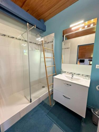une salle de bain avec une douche et un lavabo et une douche dans l'établissement Aux quatre vents, à Bussière-Galant