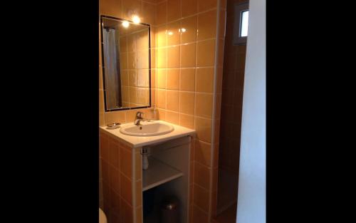 une salle de bain avec un lavabo et un miroir dans l'établissement La cigale bleue a callian, à Callian