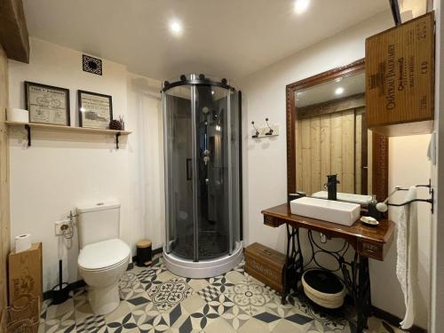 a bathroom with a shower and a toilet and a sink at Le gout in Lasseubetat