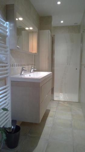 une salle de bain blanche avec un lavabo et une douche dans l'établissement Gite au calme dans village, à Montferrat