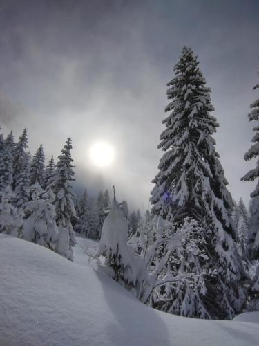 Beau duplex lumineux à la montagne Nice flat just underneath MtBlanc