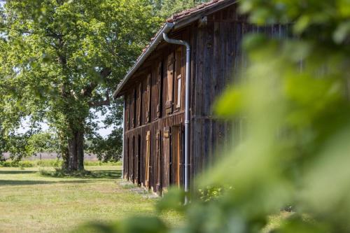a wooden building in a field with a tree at Vieux chene in Sabres
